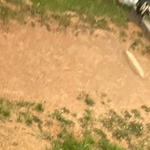 Meet your Posher, Landon